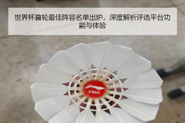 世界杯首轮最佳阵容名单出炉，深度解析评选平台功能与体验
