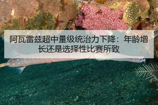 a-wa-lei-zi-chao-zhong-liang-ji-tong-zhi-li-xia-jiang-nian-ling-zeng-zhang-hai-shi-xuan-ze-xing-bi-sai-suo-zhi-2-393.jpg